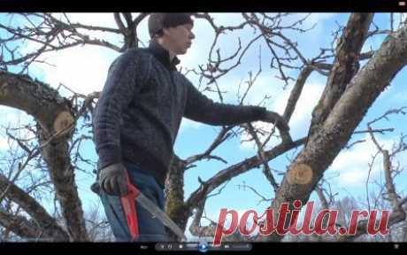 Видео курс &quot;Обрезка плодовых деревьев&quot; ! Когда, как обрезать плодовые деревья в саду весной или осенью