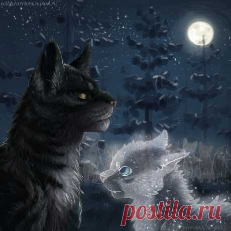 The second life of the Tigerstar. Warriors by Romashik-arts on DeviantArt