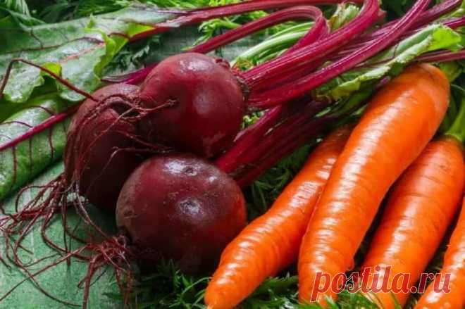 Вкусный салат из свеклы на зиму – вкусно, просто и полезно
