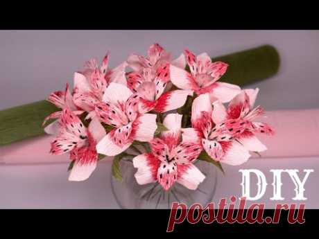 Альстромерия из бумаги / Мастер-класс / DIY Handmade Paper Flowers - YouTube

В этом мастер-классе покажу как сделать воздушный цветок альстромерии. Такие цветы отлично дополнят ваши композиции и букеты.