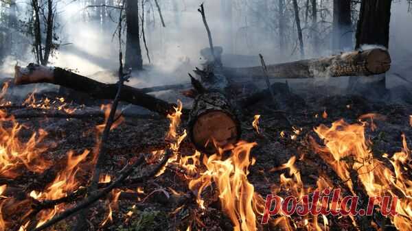 В России лесные пожары охватили 43,6 тысячи гектаров