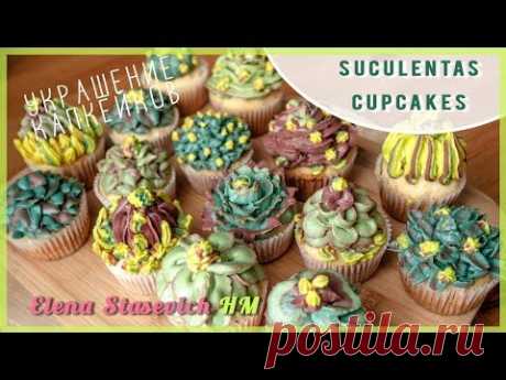 Тренд Капкейки Сукуленты украшение насадками || Suculentas cupcakes decoration || Elena Stasevich HM