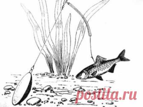 Живец или малёк?  
 


Рисунок автора
 

 
Рыболовам, предпочитающим ловлю на живую рыбку, хорошо известно, что чем резвее ходит на леске живец, тем больше вероятность обнаружения его хищной рыбой. Однако бывают досад…