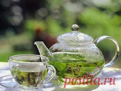 (+1) тема - Диеты с зеленым чаем. Очищение плюс похудение! | Диеты со всего света