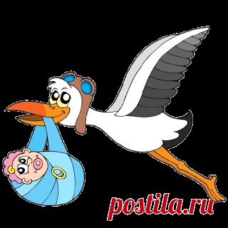 Stork Carrying Baby Girl - Cute Baby And Animal Pictures