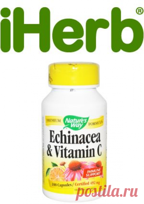 Nature's Way, Echinacea &amp; Vitamin C, 492 mg, 100 Capsules - iHerb.com