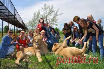 Зоопарки России: 10 пушистых, пернатых и чешуйчатых приключений, которые нельзя пропустить!