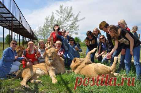 Зоопарки России: 10 пушистых, пернатых и чешуйчатых приключений, которые нельзя пропустить!