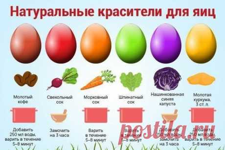Как покрасить яйца натуральными красителями - без краски и химии » Женский Мир