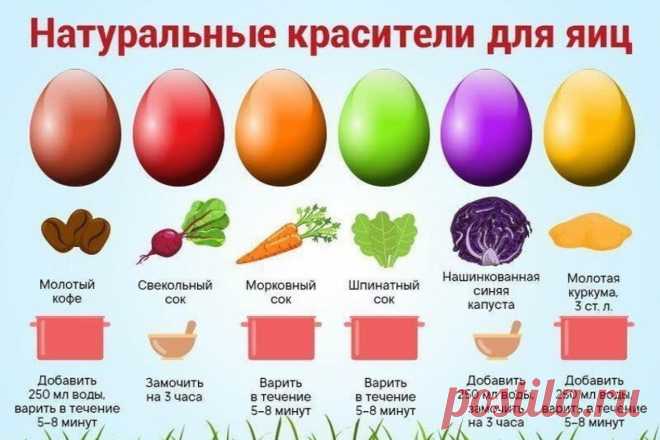 Как покрасить яйца натуральными красителями - без краски и химии » Женский Мир