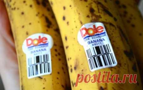 Будьте осторожны, когда покупаете бананы! Знаете ли вы, что означают эти наклейки?