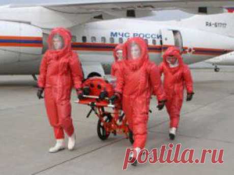 Лихорадка Эбола добралась до РФ: есть два подозрения на инфекцию в Питере - Здоровье на Joinfo.ua