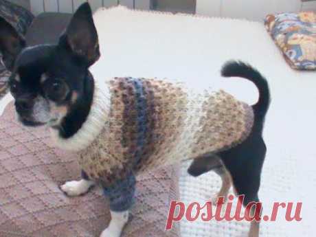 Вяжем свитер для маленькой собачки. Подробный мастер класс.