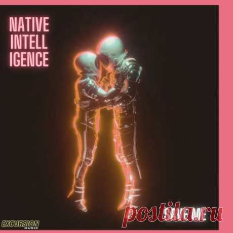 Native Intelligence - Save Me [Excursion Music]