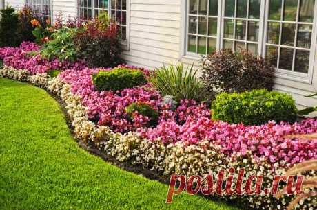 109 Landscaping Ideas