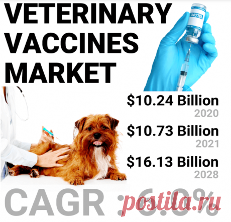 In recent years, the global veterinary vaccines market has been growing rapidly due to the increasing prevalence of various infectious diseases among animals, the rising adoption of pets, and the growing demand for animal products such as meat, milk, and eggs. The veterinary vaccines are an essential tool to prevent and control the spread of infectious diseases among animals, thereby reducing the economic losses to the farmers, breeders, and other stakeholders. This article will provide an overv