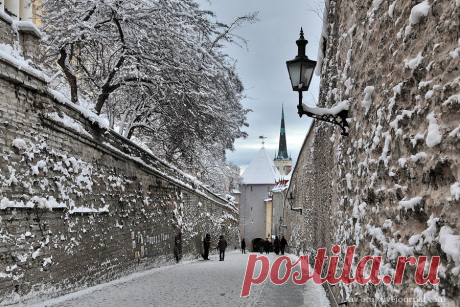 Зимний Таллин. Вышгород             По-эстонски эта часть города называется Toompea. Это древнейшая крепость города, построенная датчанами в 1219 году.    Вскоре  п...
