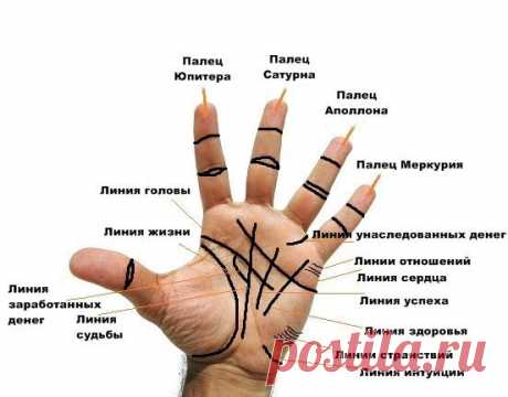 Линия здоровья на руке: значение в хиромантии, фото