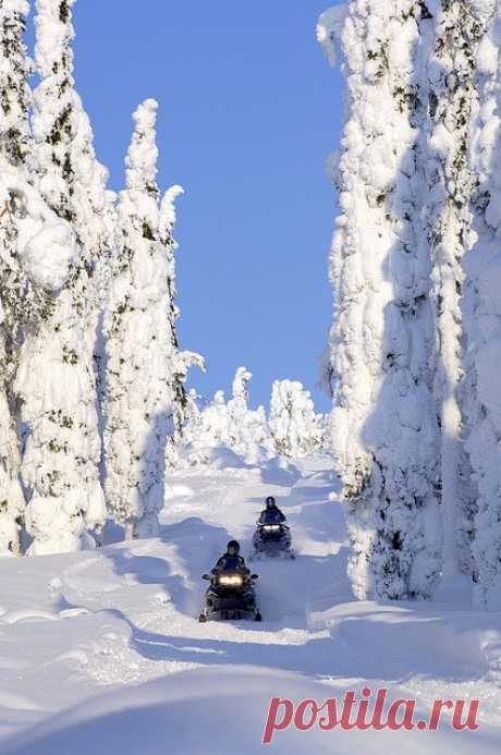 Snowmobile race in Iso-Syöte fell, Finland by Visit Finland, via Flickr  | Eugene Payne приколол(а) это к доске Winter