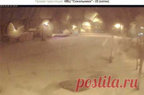 Вот таким должен быть сильный снег! Москва, Сокольники, около 01:15 ночи. Это апрель 2015, и это уже не шутка...Настроение зимы просто невероятно разыгралось. Снегопад очень красивый и невероятно романтичный. Всем отличной ночи! / Социальная погода