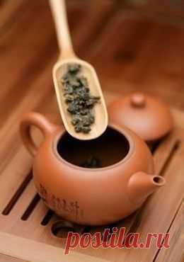 Чай улун для похудения – полезный и не опасный для здоровья