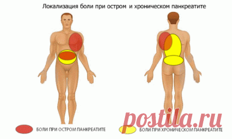 Боль в спине и пояснице при панкреатите: когда возникает, причины, признаки, методы борьбы и особенности при беременности