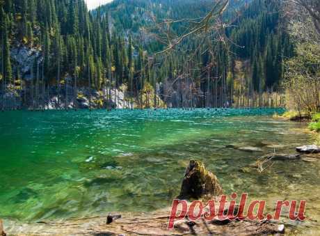 Озеро Каинды - затонувший лес в Казахстане - Путешествуем вместе