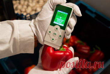 Нитраты и нитриты в продуктах питания: чем они опасны