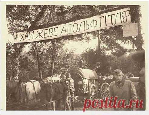 . Ну и кто там в Галиции воевал против Гитлера??? Ну что же, хай живе Гитлер... Только хохлы сейчас забыли, что  облаву на фашистов  рано или поздно начинают русские...И тогда АМИНЬ!