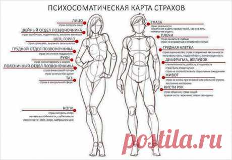 ТЕЛЕСНАЯ КАРТА СТРАХОВ 

Один из основных законов телесно-ориентированной психотерапии гласит: "Тело помнит всё". Воспоминания обо всем, что с нами произошло, хранятся в нашем теле, в том числе и о наших чувствах. Тело можно сравнить с чердаком, на который отправляется всё то, что не хочется видеть в самом доме. И как хозяйка кричит: "Я не хочу видеть здесь эту рухлядь, отнесите её на чердак!" - так и в нашем теле поселяются все те чувства, которые наше сознание не хочет в...