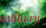 Важно! Признаки болезни по ладони — Всегда в форме!