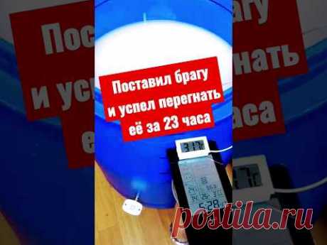 получил сырец за 23 часа с момента постановки браги #shots #самогон #брага #лайфхаки