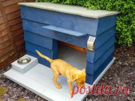 Fox The Dog в Instagram: «Someone's got a new summer house!!! #diy #doghouse #foxredlab #labrador #foxredlabrador #pup #puppy #dog #cute #instadog #dogsofinstagram» 18 отметок «Нравится», 1 комментариев — Fox The Dog (@fantastical_mr_fox) в Instagram: «Someone's got a new summer house!!! #diy #doghouse #foxredlab #labrador #foxredlabrador #pup #puppy…»