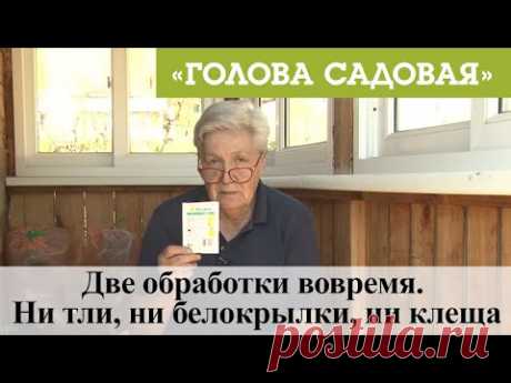 Голова садовая - Две обработки вовремя. Ни тли, ни белокрылки, ни клеща