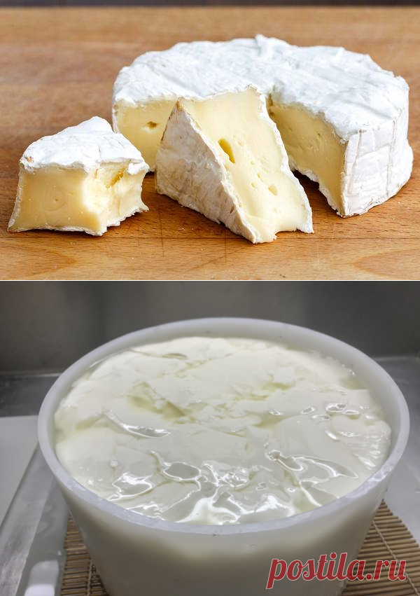 Рецепт приготовления сыра Бри

Узнайте, как приготовить традиционный бри прямо на собственной кухне. Этот пошаговый рецепт, состоящий всего из нескольких простых ингредиентов, поможет вам приготовить Бри, который выделяется из толпы.

Во многих магазинах мы видим коммерческую версию бри, сделанную машинами с молоком, которое могло бы быть лучше, и выдержку, которая больше ориентирована на выход на рынок и более длительный срок хранения, чем то, что было традиционно для бри.