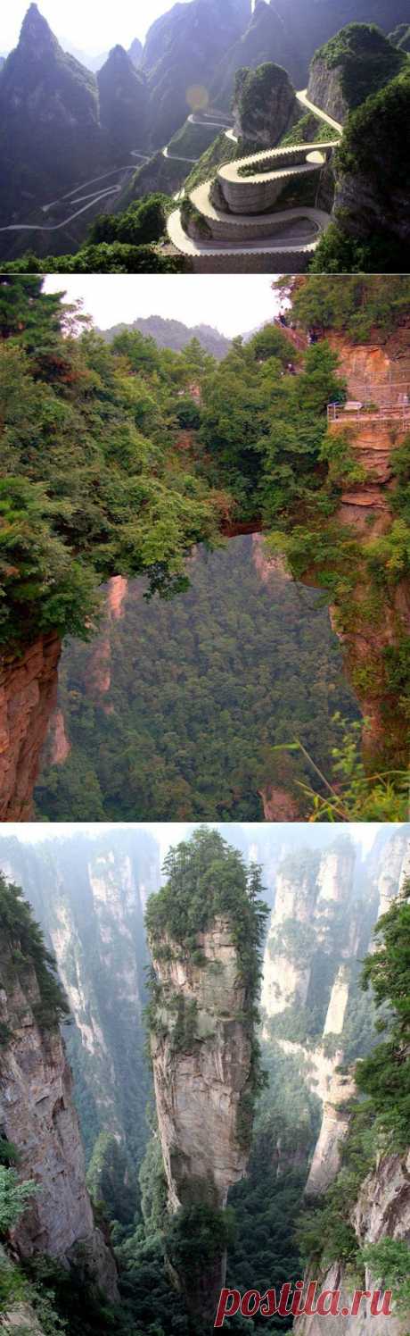 Горы Тяньцзи, Китай - 40 мест, которые нужно увидеть прежде, чем умереть