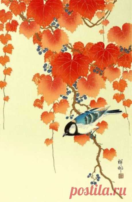 Великолепные работы одного из интереснейших мастеров японской гравюры Ohara Koson