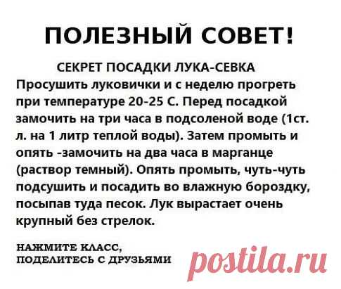 (33) Одноклассники