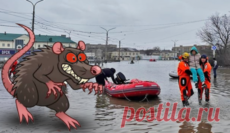 Потоп в Орске 2024: протесты, смехотворные компенсации и виноватые мыши. В прорыве дамбы стоимостью 1 млрд рублей обвинили грызунов | Пульс Политики | Дзен