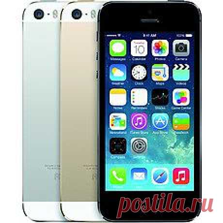 Смартфон Apple iPhone 5S 16GB: цены в магазинах, стоимость доставки сотовых телефонов эпл iPhone 5S 16GB - где купить в Москве