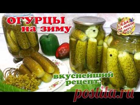 ОГУРЦЫ НА ЗИМУ в банках | Все просят рецепт! Хрустящие, маринованные, без стерилизации, без хрена!