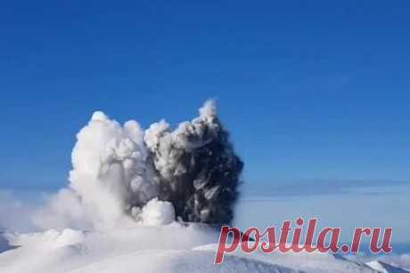 Проснувшийся на Курилах вулкан попал на видео. На Курильском острове Парамушир проснулся вулкан Эбеко. Старт активности на видео сняли очевидцы. На записи видно, как над вулканом поднимается столб густого дыма. О высокой активности Эбеко сообщалось в мае 2021 года. В Северо-Курильске, находящемся в семи километрах от вулкана, пеплопад не наблюдался.