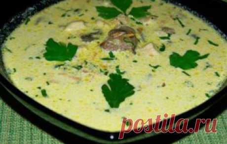 Суп из вешенок / Грибные супы / TVCook: пошаговые рецепты c фото