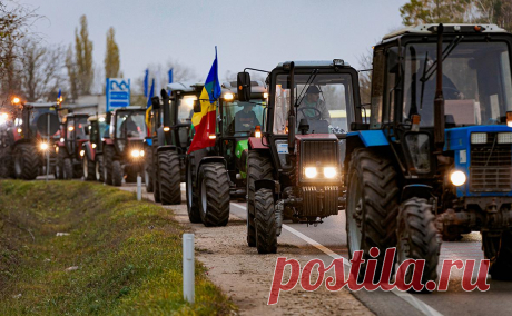 Молдавские фермеры вышли на протест у здания правительства. В Кишиневе молдавские фермеры вышли к зданию правительства, требуя установить мораторий на начисление штрафных санкций, сообщает Moldova1.
