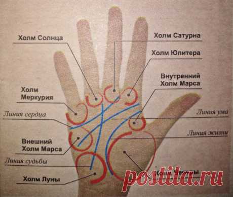 Как гадают по ладони? / Мистика
