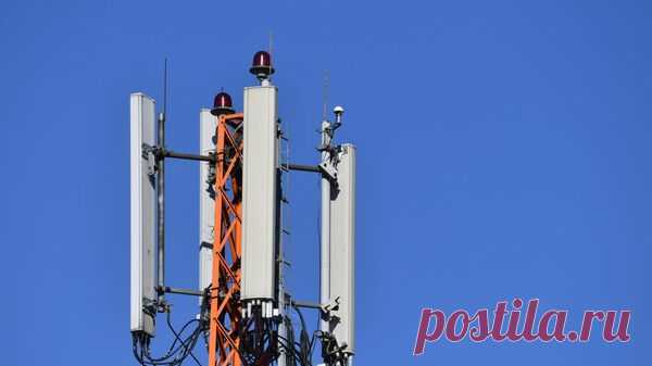 На острове Попова во Владивостоке ветер повалил вышку сотовой связи