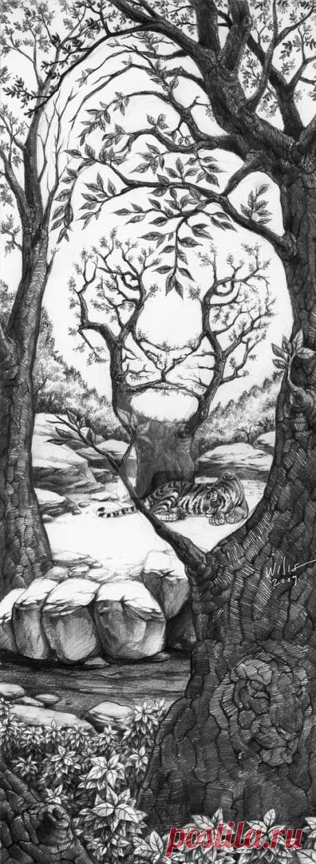 The Sleeping Tiger tiger woods ( a tiger shaping woods ) just for fun.....how many tigers are in this scene? can u locate them? 15x42cm pencils, 2B, 5B, 8B first of all, i'd like to thank everybody who love, adore an...