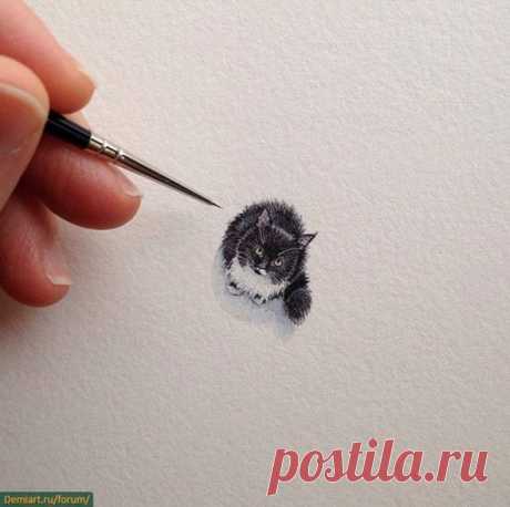 Самые милые нарисованные котики