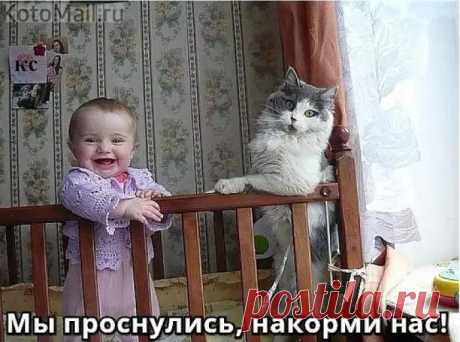 Дети проснулись... | KotoMail.ru