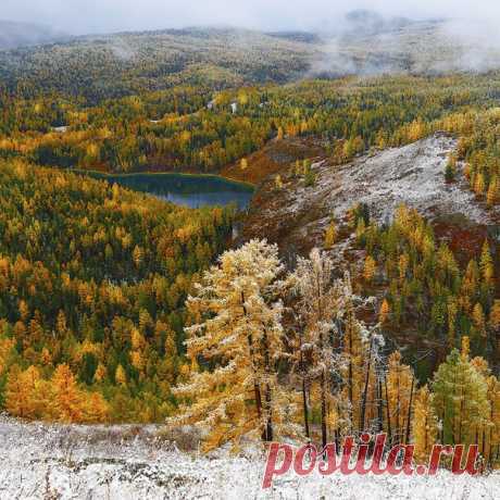 Золотая осень в серебре. Вершина перевала Кату-Ярык, Алтай. Автор фото – Константин Маланин: nat-geo.ru/photo/user/311639/